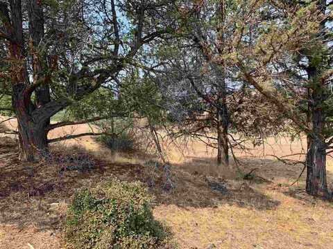 Unit 4 Lot 279 Barracuda Drive, Montague, CA 96064