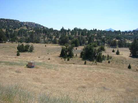 10 acres Omega Rd, Montague, CA 96064