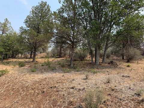 Unit 3 Lot 30 Whitepine, Hornbrook, CA 96044