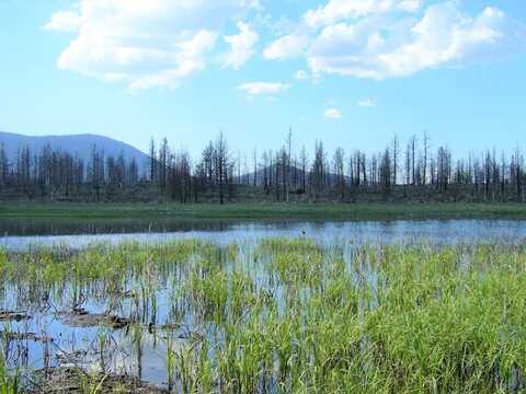 40 acres Mud Lake, MacDoel, CA 96058