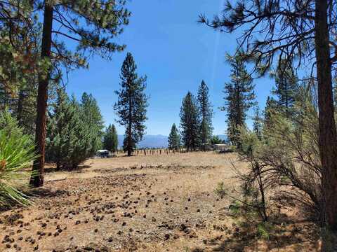 00 N. Kidder Creek Rd., Greenview, CA 96037