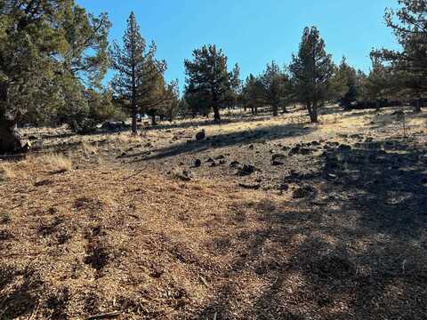 Unt 5-2 Lot 115 Antler Way, Weed, CA 96094