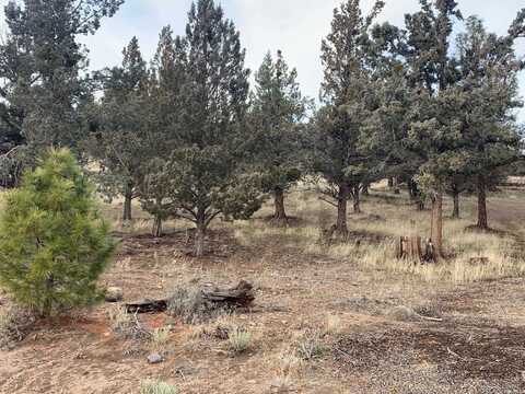 Unt 5-2 Lot 100 Rainbow Dr, Weed, CA 96094