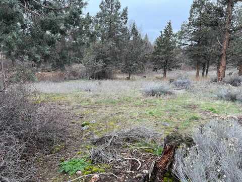 9-1 Lot 144 Brookside Rd, Weed, CA 96094