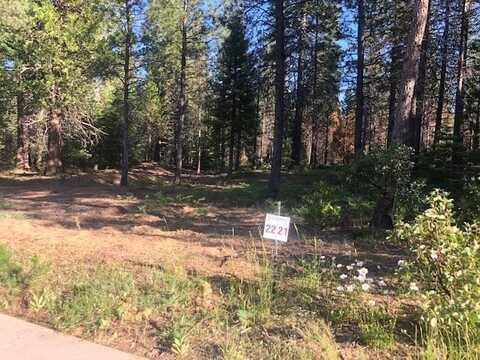 22 Old Mill Dr, McCloud, CA 96057