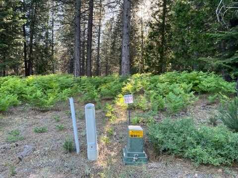 11 Old Mill Dr, McCloud, CA 96057