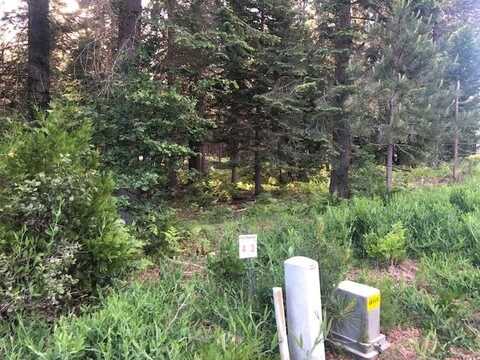 3 Old Mill Dr., McCloud, CA 96057