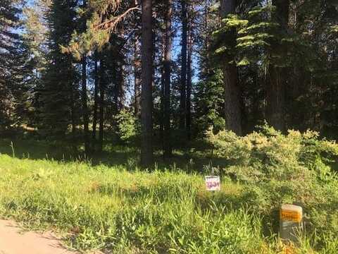 32 Old Mill Dr, McCloud, CA 96057