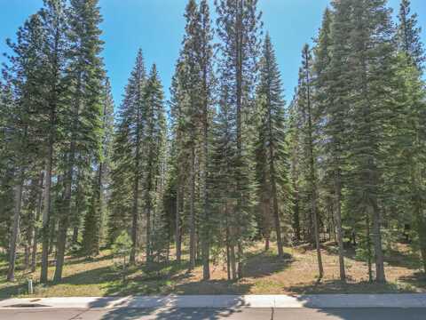 52 Old Mill Dr, McCloud, CA 96057