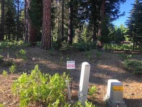 43 Panther Meadow Dr, McCloud, CA 96057