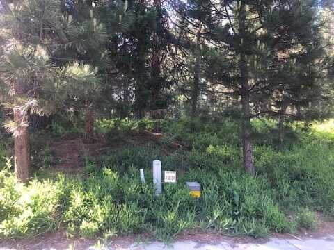 39 Panther Meadow Dr, McCloud, CA 96057