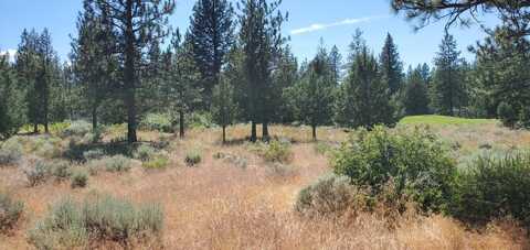 Lot 205 Unt 5-3 Douglas Ct., Weed, CA 96094