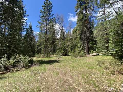 3-E-30 Red Fir Rd, McCloud, CA 96057