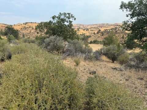 Lot 250 Coyote, Hornbrook, CA 96044