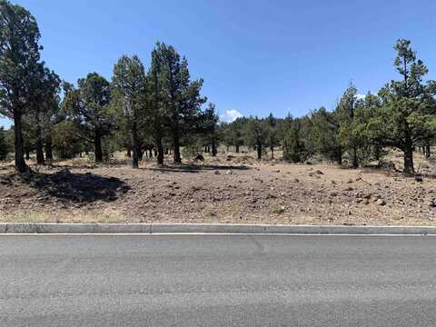 Lot 263 Mountain Wood Drive, Weed, CA 96094