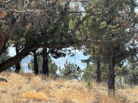 Unit 3 Lot 157 Dwinnell, Weed, CA 96094