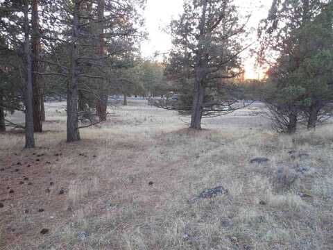 Unit 2 -Lot 73 Deer Ln., Weed, CA 96094