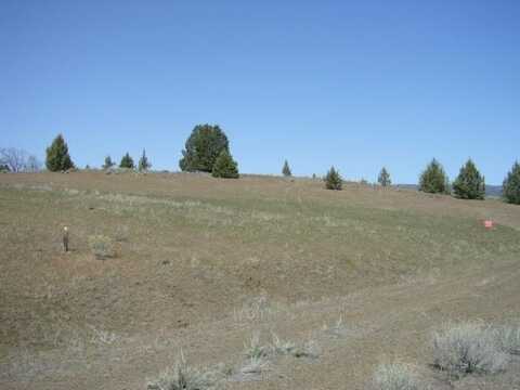 2.6 acres End of Fond Ave., Hornbrook, CA 96044