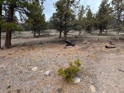 Unit 5-2 Lot 97 Rainbow Drive, Weed, CA 96094