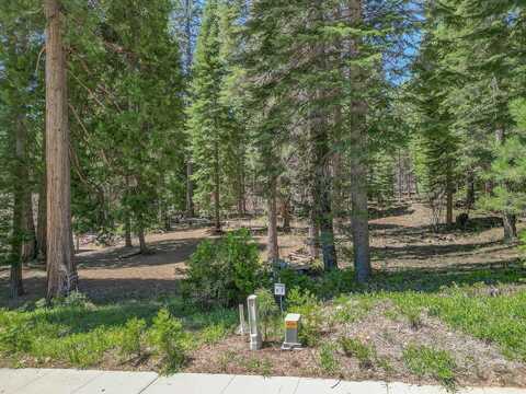 16 Old Mill Drive, McCloud, CA 96057