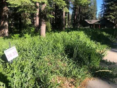 35 Mill House Way, McCloud, CA 96057