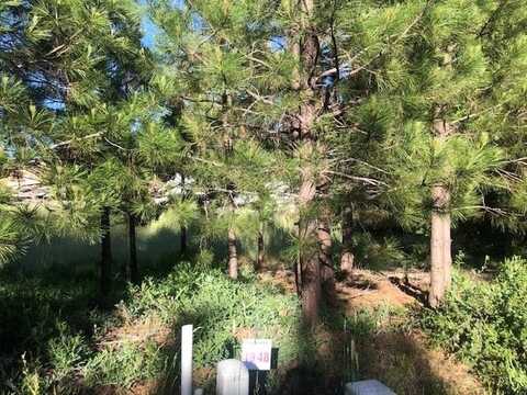 48 Old Mill Dr, McCloud, CA 96057