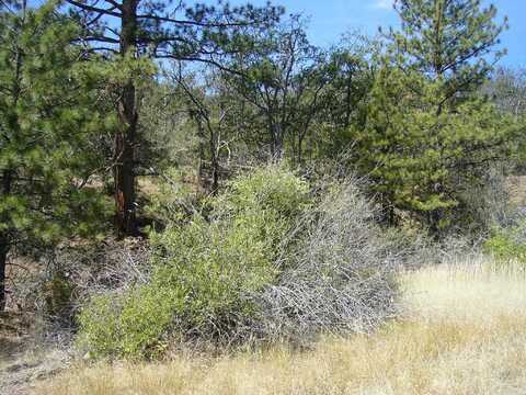 9.1 acres Humbug Gulch Rd, Yreka, CA 96097