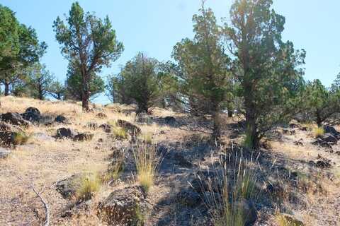 Lot 84 Wildhorse Rd., Weed, CA 96094