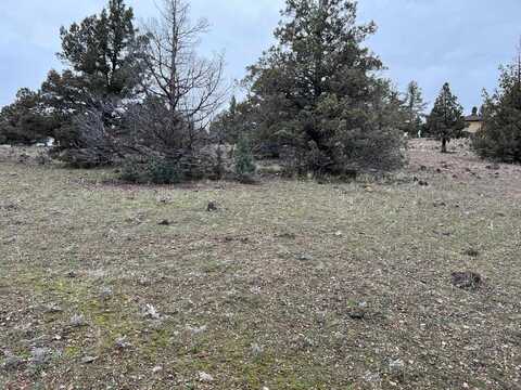 Unit 4 Lot 615 Wampum Way, Weed, CA 96094