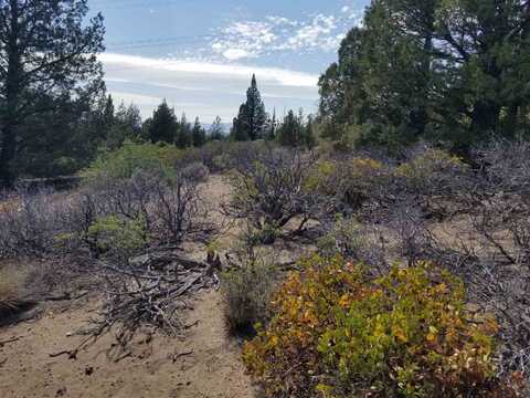 Lot 90 Big Springs Rd, Weed, CA 96094