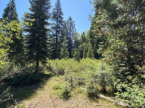 1-B-3 Cascade St, McCloud, CA 96057