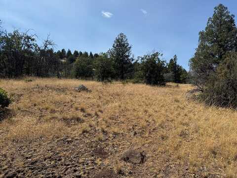 Unit 5 Lot 117 Greenfinch Way, Hornbrook, CA 96044