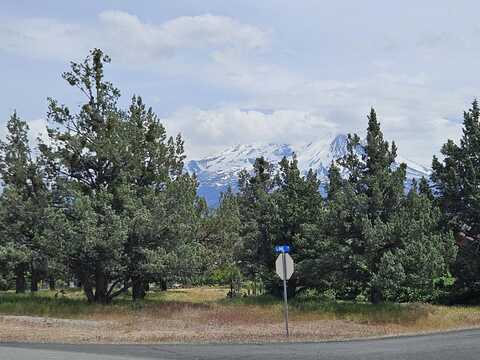 Lot 192 Lake Shastina Dr, Weed, CA 96094