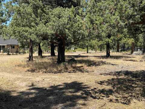 Unit 1 Lot 7 Lake Shore Dr, Weed, CA 96094