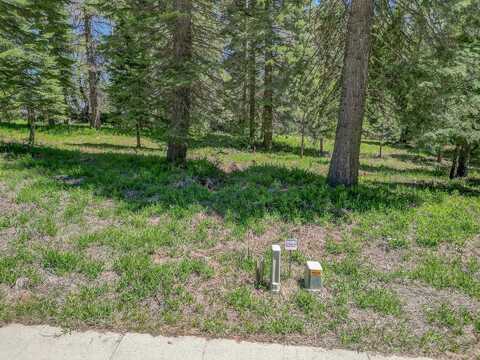 51 Old Mill Dr, McCloud, CA 96057