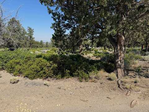 8-1 Lot 276 Sherwood Road, Weed, CA 96094