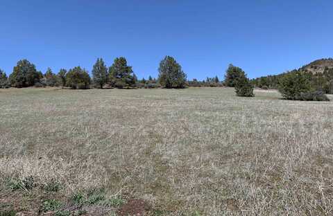 Unit 4 Lot 511 Blue Gill Drive, Hornbrook, CA 96044