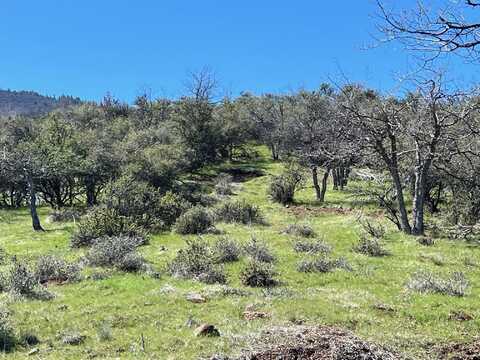 Lot 569 Ponderosa St, Hornbrook, CA 96044