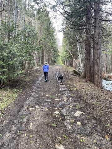 Red Fir Loop, Weed, CA 96094