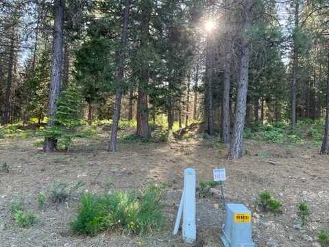 9 Old Mill Dr., McCloud, CA 96057