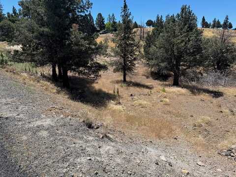 5-2 Lot 176 Antler Way, Weed, CA 96094