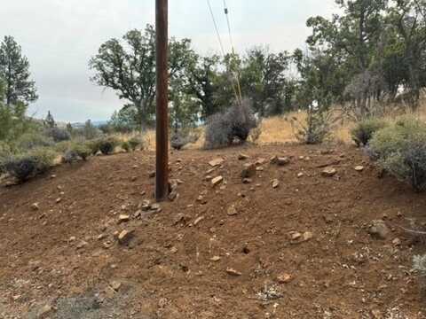 Lot 251 Coyote, Hornbrook, CA 96044