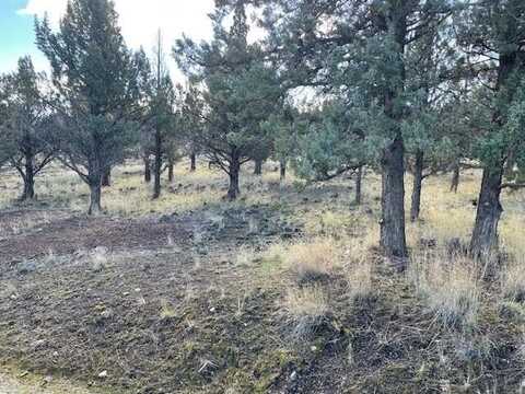 Unit 1 Lot 25 Lake Shastina, Weed, CA 96094