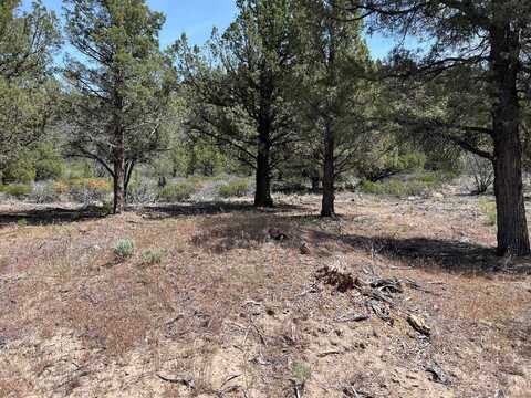 Blk 2 Lot 85 Big Springs Road, Weed, CA 96021