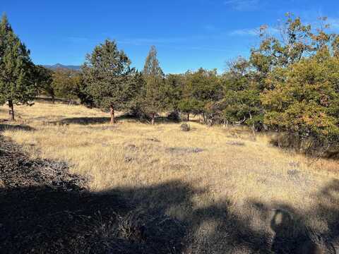 Lot 416 Danny Drive, Hornbrook, CA 96044