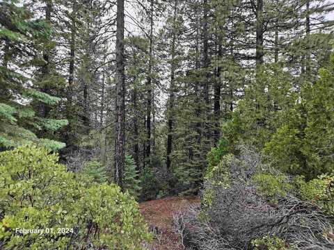 1.4 Acres Summit Drive, Mount Shasta, CA 96067