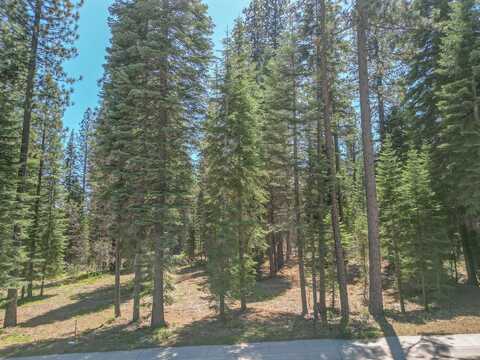 50 Old Mill Dr, McCloud, CA 96067