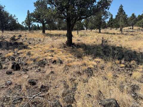 9-2 Lot 265 Mountain Wood, Weed, CA 96094