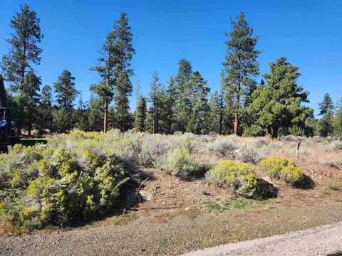 Lot 273 Riverside Drive, Weed, CA 96094