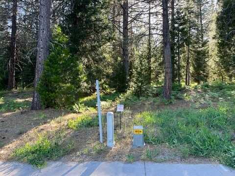 13 Old Mill Dr., McCloud, CA 96057